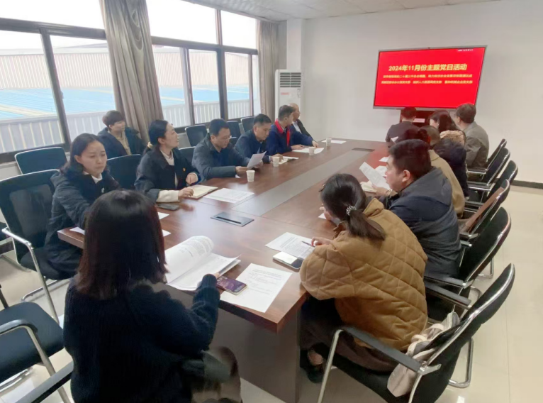 深入學(xué)習(xí)黨的二十屆三中全會(huì)精神，開(kāi)展主題黨日活動(dòng)